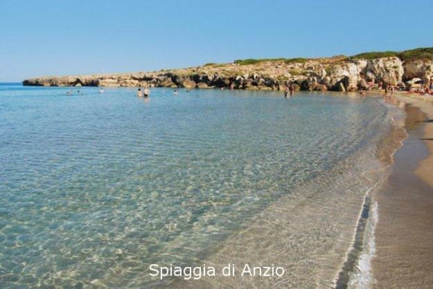 Happyhouse Apartment Anzio Bagian luar foto